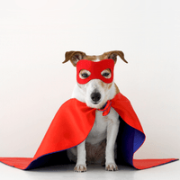 featured image thumbnail for post Training Managers to Make Confident Pay Decisions